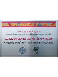 從江桐鄉(xiāng)稻魚鴨復(fù)合系統(tǒng)